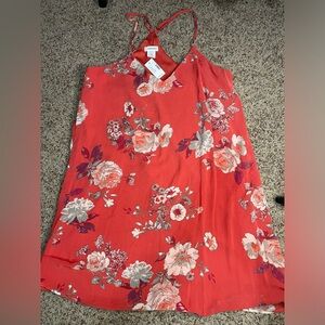 EyeShadow at Maurices New floral dress Large
